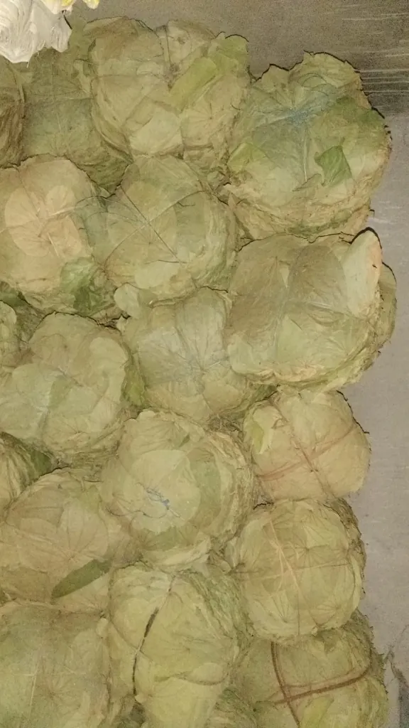 Bundles of Stitched Siali Leaves