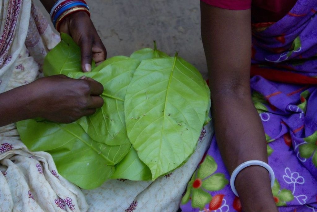 Rural Women Hand-Stitching Siali Leaves