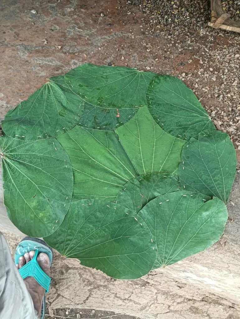 Industrial Assessment of Sal and Siali Leaf Plate Manufacturing
